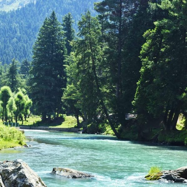 Welcome to Green Spirit Tour and Travels