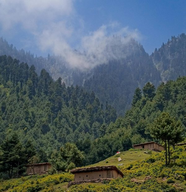 08 NIGHTS 09 DAYS - Angling in Kashmir